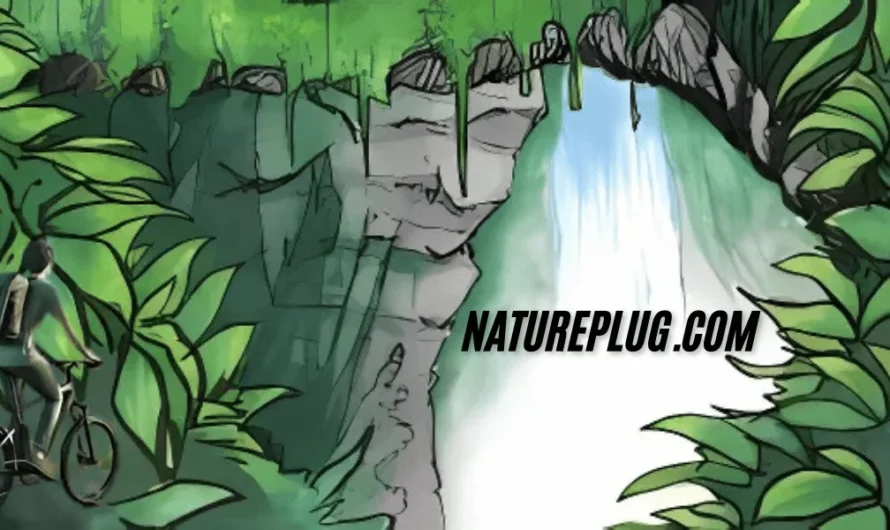 Natureplug.com Clears the Path for Adventures in Sustainable Living